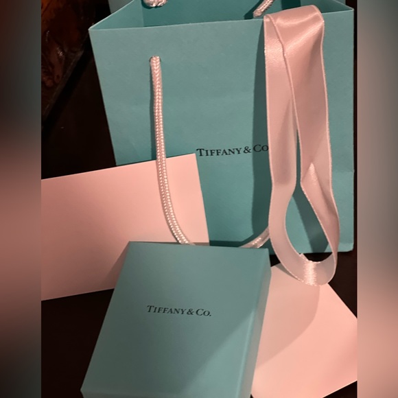Tiffany & Co. Bag and Box - Picture 2 of 5